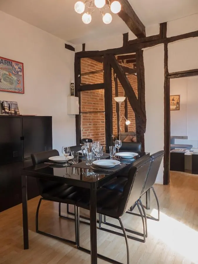 Appartement Le Castelviel à Albi