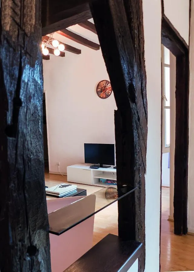 Appartement Le Castelviel à Albi